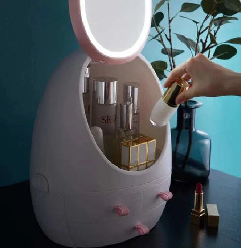 Cosmetics Storage Mirror |