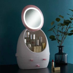 Cosmetics Storage Mirror |